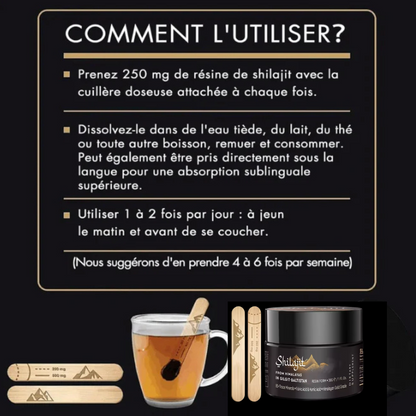 Renouveau Vital : Shilajit Premium - Énergie & Vitalité Naturelles