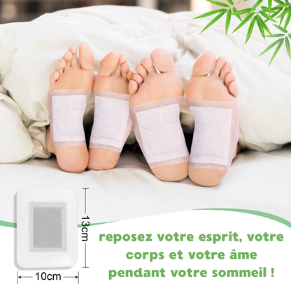 Patchs Thérapeutiques  Multifonctionnels a base de plantes asiatique pour le Bien-être