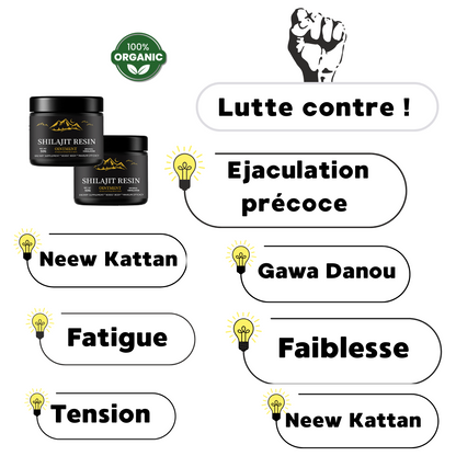 Renouveau Vital : Shilajit Premium - Énergie & Vitalité Naturelles