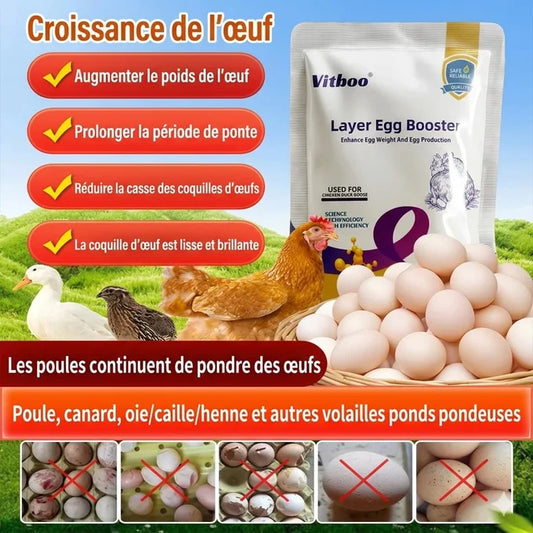 Egg Booster™ – Stimulateur de Ponte Haute Performance