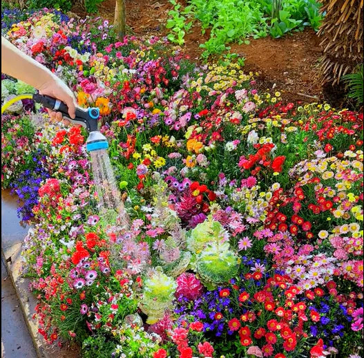 Mélange Premium de Graines de Fleurs Sauvages – 134 000+ Graines Héritage