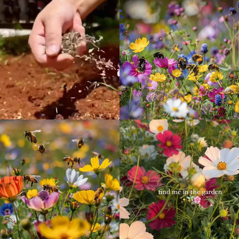Mélange Premium de Graines de Fleurs Sauvages – 134 000+ Graines Héritage