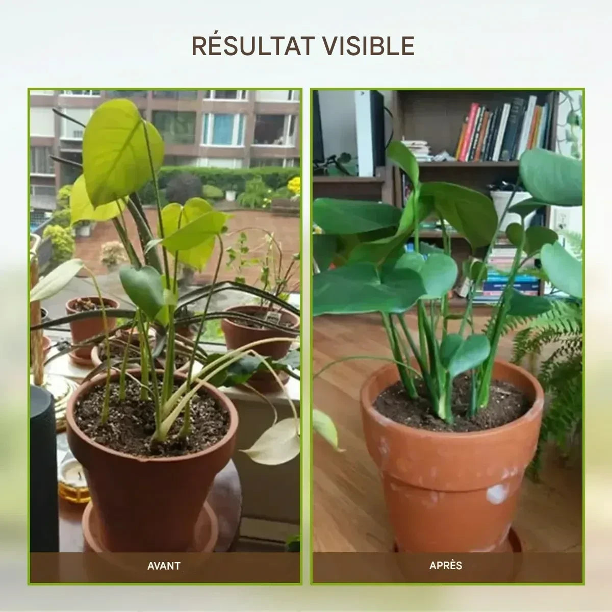 Soil activated treasure – Booster de Sol Minéral pour une Croissance Exceptionnelle