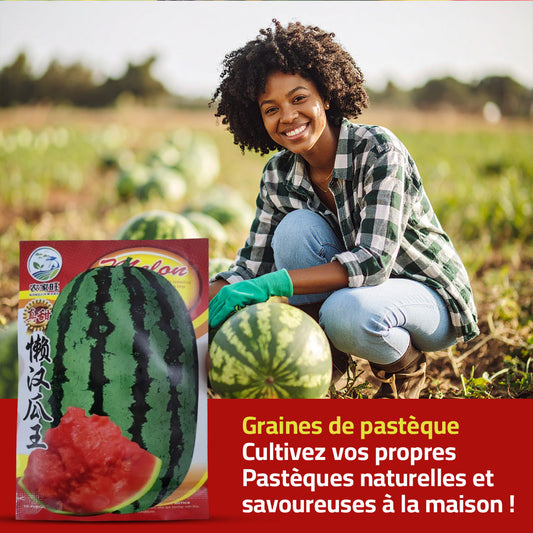 Graines de Pastèque Bio Ultra-Savoureuses pour Jardin et Potager - 1000 graines + guide de plantation
